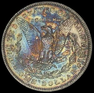 1885�N�����K�����BU���C���{�[�i�`�������������A���o���g�[���A�C�A�s�[��