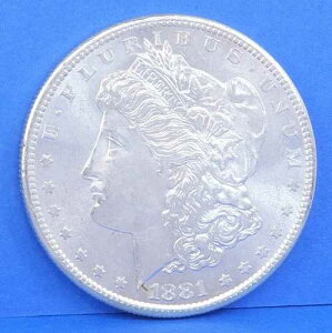 1881-S BU �����K���E�_���[��� 1�h���d�� �A�����J���O�� �T���t�����V�X�R������