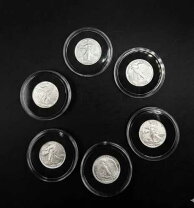 楽天市場】リバティ 1/10オンス 銀貨の通販