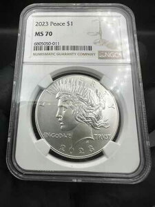 2023�N���s 1�h���s�[�X��� NGC MS70 �u���E�����x��