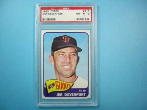 1965�N TOPPS MLB �x�[�X�{�[���J�[�h #213 �W���E�_�x���|�[�g PSA 8 NMMINT SHARP+ '65 TOPPS GL