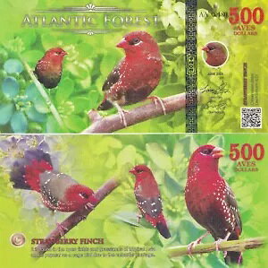 �A�g�����e�B�b�N�t�H���X�g 500AVES�h�� �X�g���x���[�t�B���` 2024 �t�@���^�W�[