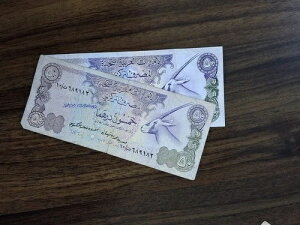 1982�N�� UAE 50�f�B���n������ | �󏭃R���N�^�[�Y�ʉ� | AED 50