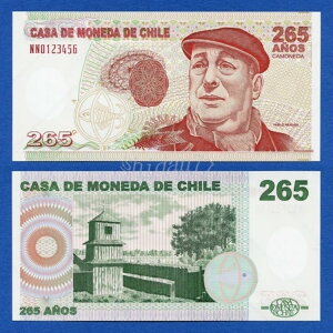 �`�� �J�[�T �f ���l�_ �p�u�� �l���[�_ �I�[�o�� �^�C�v 2008 �|���}�[�����Ѓe�X�g�m�[�g Unc