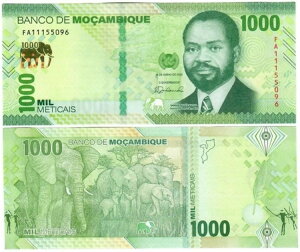 ���U���r�[�N 1000 ���e�B�J 2024 UNC FA