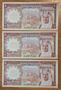 UNC 1976 �T�E�W�A���r�A 3 x 1 ������ �L���O�E�n�[���h �A���ԍ�