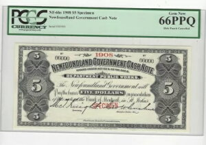 1908�N�j���[�t�@���h�����h�����ANF-6HS 5�h�������ASN# 00000 PCGS �W�{ 66 PPQ