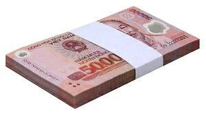 �x�g�i�� 50000 �h���A2022�AP-121p�AUNC �|���}�[ X 100 PCS �o���h���p�b�N