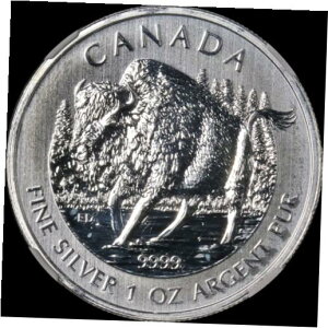 2013 Ji_ Vo[ $5 Ebh oC\ ChCt V[Y 1IX 9999 t@C NGC MS69 ݌2013 Canada Silver $5 Wood Bison Wildlife Series 1oz 9999 Fine NGC MS69 STOCK