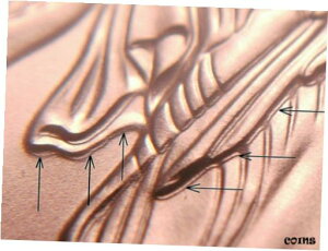 2021 (W) MS70 Vo[ C[O G[ OBV _uO wfBbN C[O T-1 ubN RA2021 (W) MS70 SILVER EAGLE ERROR OBV DOUBLING HERALDIC EAGLE T-1 BLACK CORE
