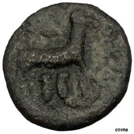パノルモス シチリア 200BC ラム ジャニフォーム ヘッド イーグル 古代ギリシャ コイン レア R2 i52344PANORMOS SICILY 200BC Ram Janiform Head Eagle Ancient Greek Coin RARE R2 i52344