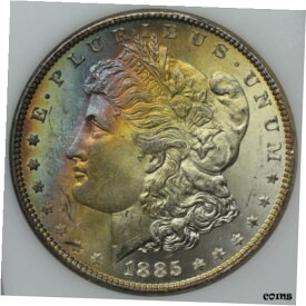 1885 モーガン シルバー ダラー モンタナ マウンテン トレジャー - 未流通 素敵な色合い1885 Morgan Silver Dollar Montana Mountain Treasure - Uncirculated Nicely Toned