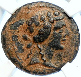 【極美品/品質保証書付】 アンティークコイン コイン 金貨 銀貨 [送料無料] APAMEIA in Seleukis & Pieria Ancient OLD ANTIQUE Greek Coin DIONYSUS NGC i106667