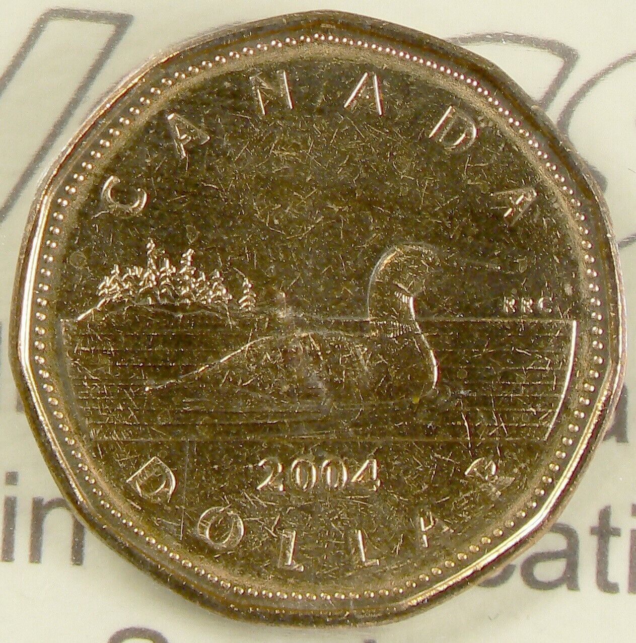  アンティークコイン コイン 金貨 銀貨  [送料無料] 2004 Canada $1 ICCS MS64 Loon #16361
