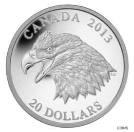 【極美品/品質保証書付】 アンティークコイン 銀貨 THE BALD EAGLE: PORTRAIT OF POWER .9999 1 oz SILVER Proof coin 2013 $20 COA /OGP [送料無料] #scf-wr-012275-314