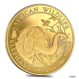 【極美品/品質保証書付】 アンティークコイン コイン 金貨 銀貨 [送料無料] 2018 Somalia 1 oz Gold African Elephant Dog Privy 1000 Shillings BU (In Cap)