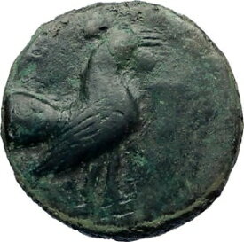 パノルモス シチリア レア R1 本物の古代シチリア ギリシャ コイン ルースター付き i73506 PANORMOS Sicily RARE R1 Authentic Ancient Sicilian Greek Coin w ROOSTER i73506