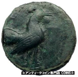 パノルモス シチリア レア R1 本物の古代シチリア ギリシャ コイン ルースター付き i73506 PANORMOS Sicily RARE R1 Authentic Ancient Sicilian Greek Coin w ROOSTER i73506