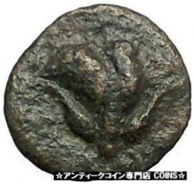 【極美品/品質保証書付】 アンティークコイン コイン 金貨 銀貨 [送料無料] RHODES Island Off CARIA 394BC Nymph Rhodos ROSE Ancient Greek Coin i49608