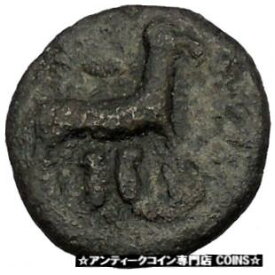 パノルモス シチリア 200BC ラム ジャニフォーム ヘッド イーグル 古代ギリシャ コイン レア R2 i52344PANORMOS SICILY 200BC Ram Janiform Head Eagle Ancient Greek Coin RARE R2 i52344
