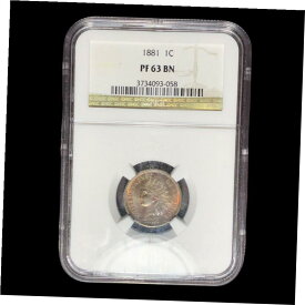 1881年 プルーフ NGC PR-63 ブラウン インディアン ヘッド セント ペニー #W90921881 Proof NGC PR-63 Brown Indian Head St. Penny #W9092