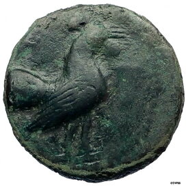 PANORMOS シチリアレア R1 本物 古代シチリアン ギリシャコイン ルースター i73506- show original titlePANORMOS Sicilian Rare R1 Authentic Ancient Sicilian Greek Coin Rooster i73506- show original title