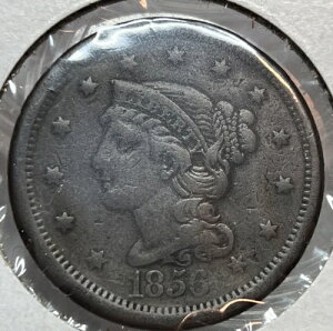 1856�N�� �΂�5�҂݃w�A ���[�W�Z���g B1 �ɍ�+5�_�ȏ�ő�������