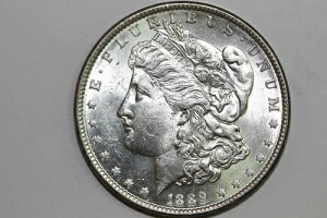 1889�N -P���[�K��90%�V���o�[ �h���u���X�g �z���C�g�O���[�h �~���g �X�e�[�g (MDX4535)-