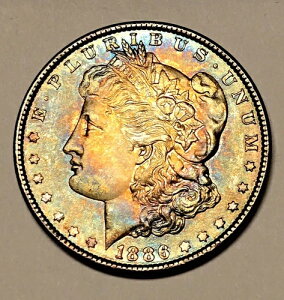 1886�N P �����K�� �_���[ �g�D���[ ���C���{�[ �A���o�� ���S�u�g�[�����H OBV/REV ���K�i ��