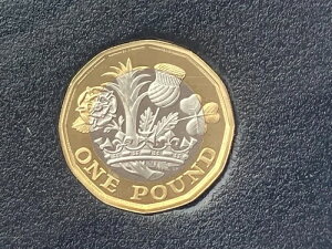 Simply Coins~ 2018 �v���[�t���� 1�|���h�R�C�� ���A ���t�e�B ���t�e�B�R�C��