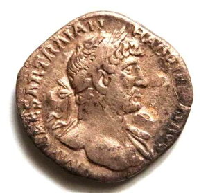 �n�h���A�k�X��i�I��117-138�N�j�A�f�i���E�X��݁B���Ƀ��[�}�q�t�������Ă���BaVF/F+