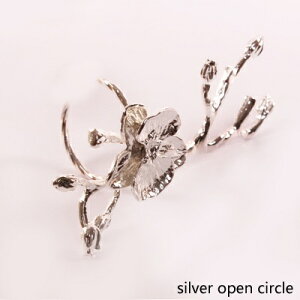 K[fjO yVo[I[vT[NzGKgS[hVo[bLvubTt[u`fUC^AC㑕ivLO6_Zbg ysilver open circle