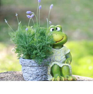 K[fjO ystyle1-ԂȂzq̓IȃNGCeButbOAؔZgiuOK[fƋH|i ystyle1-no flowerzPastoral Creative Frog Fleshy Flower Pot Cement Orname