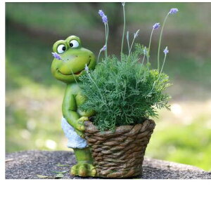 K[fjO ystyle2-ԂȂzq̓IȃNGCeButbOAؔZgiuOK[fƋH|i ystyle2-no flowerzPastoral Creative Frog Fleshy Flower Pot Cement Orname