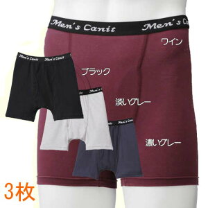 ARpc jp Y 3Zbg [  ] ₩K[hgNX V[g Apc ARpc amp  {NT[ { ̓ hV̓ v[g