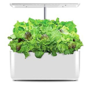 家庭菜園 栽培キットの通販 価格比較 価格 Com