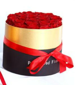 t[Mtgyza o /oPc^/ԃo F: XL vU[uht[ t[{bNX o ΂ KN   v[g   傫 l ԃMtg