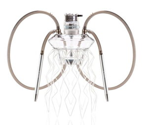 ^oR V[V { Zbg  f[T m[eB AE^ zCg/ Shisha Meduse nautila aurita white [ Ai] uh KX V[V t[J t[J[ ΂ M