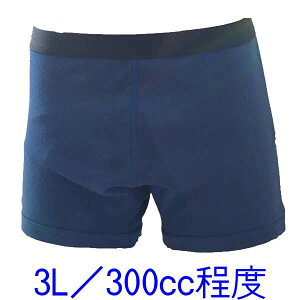 փpc 傫TCY jp {NT[ gNX z300cc 3L 1 [  ]am ARpc Y {NT[pc A [{] YXJC MIT DGR