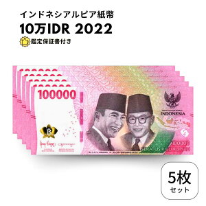 �y�ۏ؏��t�z 5�� �C���h�l�V�A 100,000 10�� ���s�A ���� 2022�N obf-ap-172c