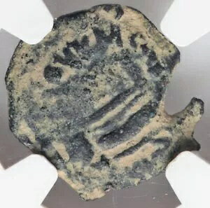 NGC Ch F�ACHOICE FINE �|���e�I�E�s���g�A�I�� 26 �` 36 �N�A���_�����C�G�X �����R�C��