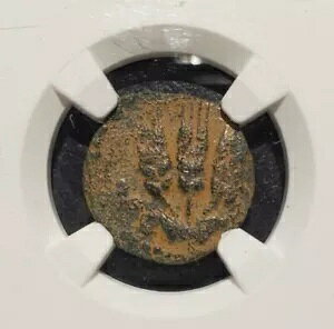 NGC �F�� VF HEROD AGRIPPA PRUTAH 37-44CE �N���[�f�B�A�X�̉��Ŕ��ɏڍׂɕ`����Ă��܂�