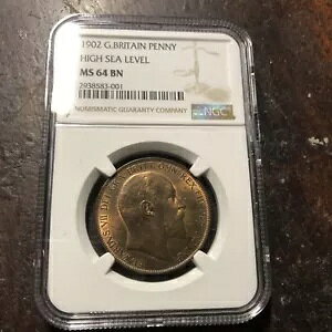 CMX 1902 NnC^Ch-64 Ngc O[fbh yj[