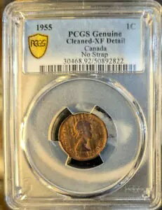 1955NJi_1Zgd݁B PCGS N[jOς XF XgbvȂ NSF EB#376