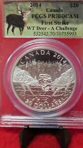 2014 $20 Ji_ PCGS PR70DCAM - IWWJ - `W 1 IX .999 Vo[