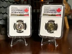 2023 $2 �J�i�_ NGC �u�����A���g UNC 2 �R�C�� �Z�b�g �g�D�[�j�[ �W���� �|�[�� ���I�y��