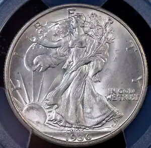 1936 D ウォーキング リバティ ハーフ PCGS MS 63 ダスティ ホワイト、良好なストライクとわずかな打痕あり