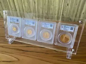 NGC/PCGS S[hC[OZbg 4 ObhANfBXvCt[V[P[X[{bNX