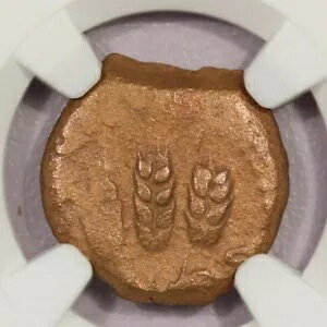 AD 37-44 ���_�� �A�O���b�p I AE �v���^ yr.6 NGC VG B-11