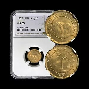xAB 1937 NA1/2 Zg - NGC MS65 - ہAV̖ 037